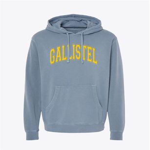 Gallistel Language Academy Branch Varsity Arch Pigment-Dyed Hoodie