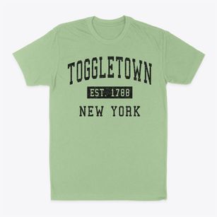 Toggletown New York Classic Established Classic Dad T-Shirt