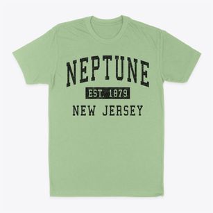 Neptune New Jersey Classic Established Classic Dad T-Shirt