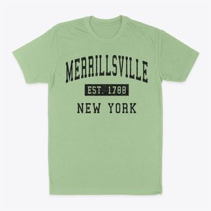 Merrillsville New York Classic Established Classic Dad T-Shirt
