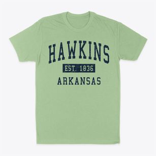 Hawkins Arkansas Classic Established Classic Dad T-Shirt