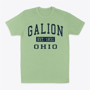Galion Ohio Classic Established Classic Dad T-Shirt
