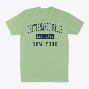 Chittenango Falls New York Classic Established Classic Dad T-Shirt