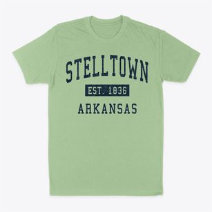 Stelltown Arkansas Classic Established Classic Dad T-Shirt