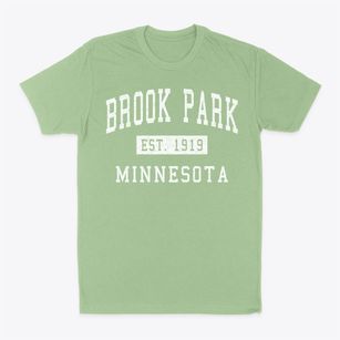 Brook Park Minnesota Classic Established Classic Dad T-Shirt