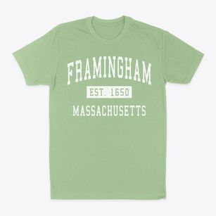 Framingham Massachusetts Classic Established Classic Dad T-Shirt