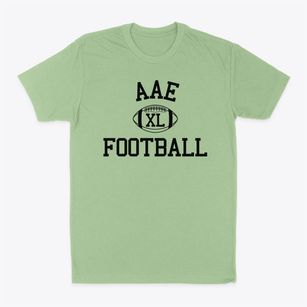 Arizona Agribusiness & Equine Center Classic Football Classic Dad T-Shirt