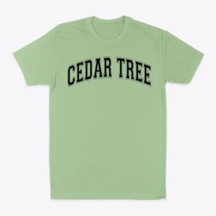 Cedar Tree Classical Christian School Varsity Arch Classic Dad T-Shirt