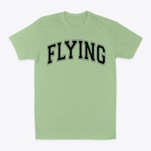 Flying High School Varsity Arch Classic Dad T-Shirt