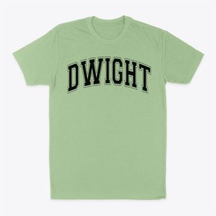 Dwight Township High School Varsity Arch Classic Dad T-Shirt