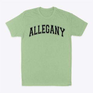 Allegany Elementary School Varsity Arch Classic Dad T-Shirt