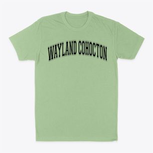 Wayland Cohocton School Varsity Arch Classic Dad T-Shirt