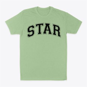 Ms 201 Star Academy Varsity Arch Classic Dad T-Shirt