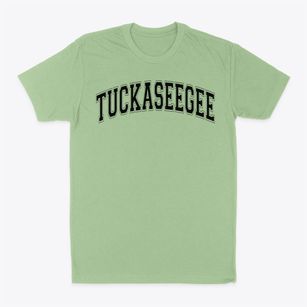 Tuckaseegee Elementary School Varsity Arch Classic Dad T-Shirt