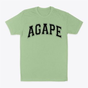 Agape Christian School Varsity Arch Classic Dad T-Shirt