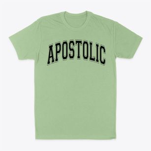Apostolic Christian School Varsity Arch Classic Dad T-Shirt