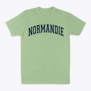 Normandie Christian School Varsity Arch Classic Dad T-Shirt