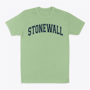 Stonewall Elementary School Varsity Arch Classic Dad T-Shirt