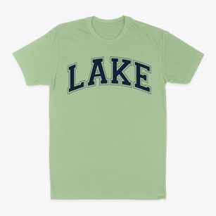 Lake Elementary School Varsity Arch Classic Dad T-Shirt