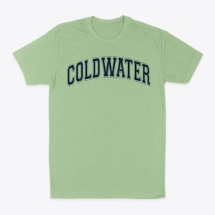 Coldwater Alternative High School Varsity Arch Classic Dad T-Shirt