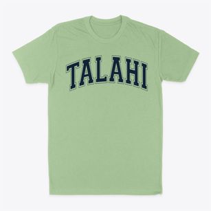 Talahi Community Elementary School Varsity Arch Classic Dad T-Shirt