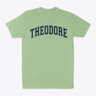 Theodore Roosevelt School #43 Varsity Arch Classic Dad T-Shirt