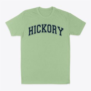 Hickory High School Varsity Arch Classic Dad T-Shirt