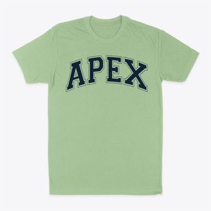 Apex Elementary School Varsity Arch Classic Dad T-Shirt