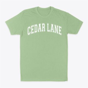 Cedar Lane Center Varsity Arch Classic Dad T-Shirt