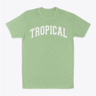 Tropical Christian School Varsity Arch Classic Dad T-Shirt