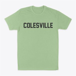 Colesville New York Classic Block Classic Dad T-Shirt