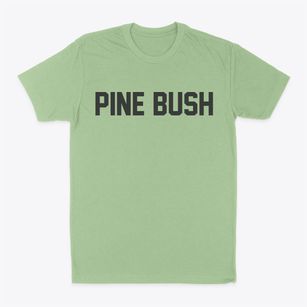 Pine Bush New York Classic Block Classic Dad T-Shirt