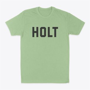 Holt Michigan Classic Block Classic Dad T-Shirt