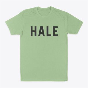 Hale Missouri Classic Block Classic Dad T-Shirt