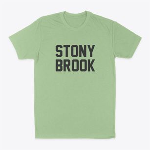 Stony Brook New York Classic Block Classic Dad T-Shirt