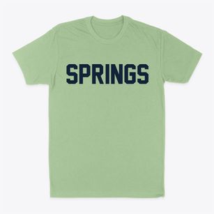 Springs New York Classic Block Classic Dad T-Shirt