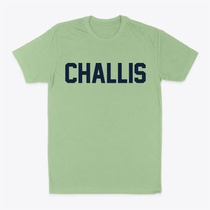 Challis Idaho Classic Block Classic Dad T-Shirt