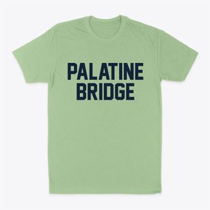 Palatine Bridge New York Classic Block Classic Dad T-Shirt
