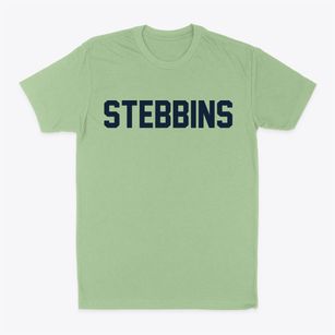 Stebbins Alaska Classic Block Classic Dad T-Shirt