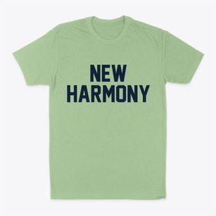 New Harmony Utah Classic Block Classic Dad T-Shirt