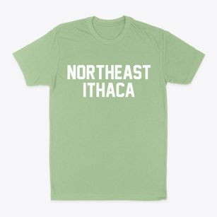 Northeast Ithaca New York Classic Block Classic Dad T-Shirt