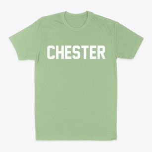 Chester Texas Classic Block Classic Dad T-Shirt