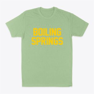 Boiling Springs North Carolina Classic Block Classic Dad T-Shirt