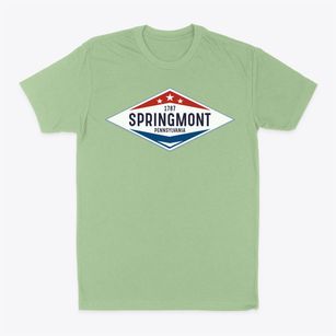 Springmont Pennsylvania Diamond Star Classic Dad T-Shirt