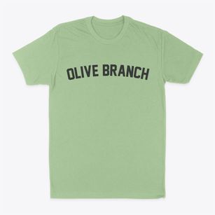 Olive Branch Mississippi Classic Curve Classic Dad T-Shirt