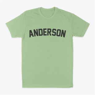 Anderson Missouri Classic Curve Classic Dad T-Shirt