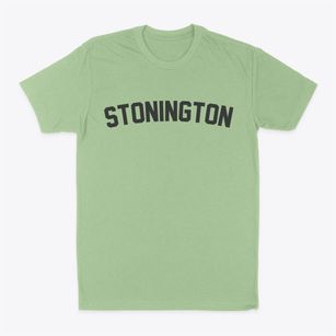Stonington Illinois Classic Curve Classic Dad T-Shirt