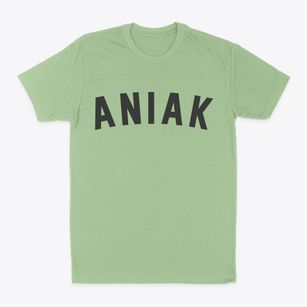 Aniak Alaska Classic Curve Classic Dad T-Shirt