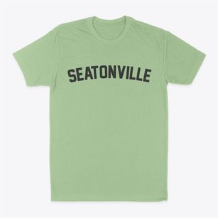 Seatonville Illinois Classic Curve Classic Dad T-Shirt
