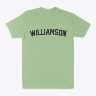 Williamson Illinois Classic Curve Classic Dad T-Shirt